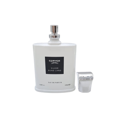 Perfume Alternativo Cosmos EDP Pour Homme 100ML